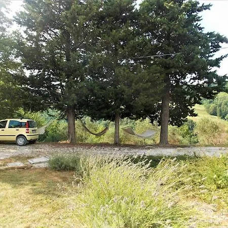 L'alboreto Salvatico Serra San Quirico