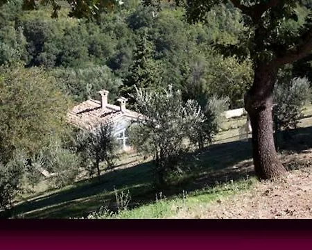 L'alboreto Salvatico * Serra San Quirico