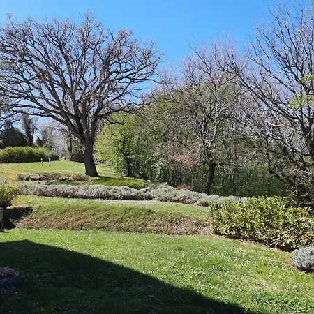 L'alboreto Salvatico