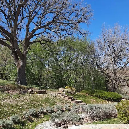 Alloggio per agriturismo L'alboreto Salvatico *