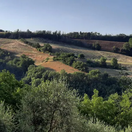L'alboreto Salvatico Serra San Quirico